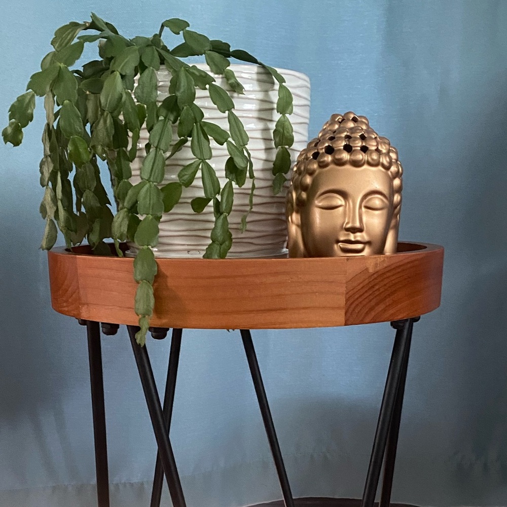 *LAST ONE* NWT Plant Stand - Picture 3 of 5